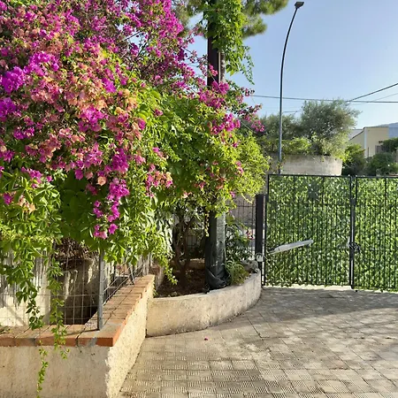 فيلة Merlo Homes Mare